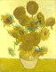 girasoli